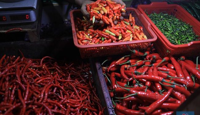 Pemerintah Diminta Ikut Andil Stabilkan Harga Cabai di Pasaran
