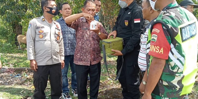 Antisipasi Virus PMK, Polres Toba bersama Tim Terpadu Melakukan Vaksin Hewan Ternak