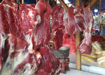 APDI Dukung Pemerintah dalam Pengetatan Pengiriman Sapi ke DKI Jakarta