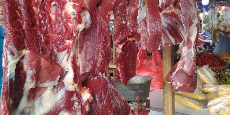 APDI Dukung Pemerintah dalam Pengetatan Pengiriman Sapi ke DKI Jakarta