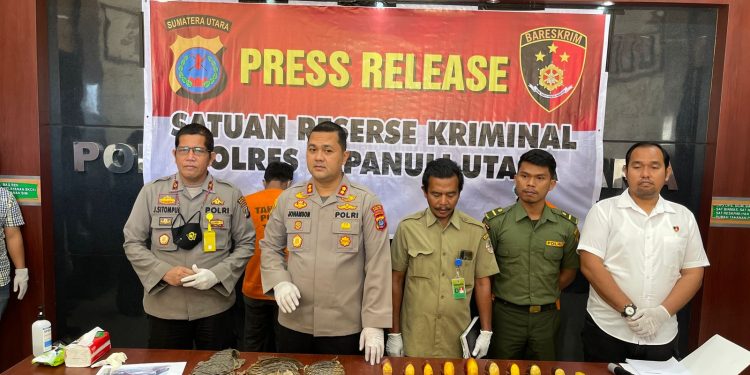 Polres Taput Amankan Pedagang Hewan yang Dilindungi