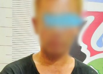 Sat Narkaba Toba Amankan Pelaku Narkoba Jenis Ganja