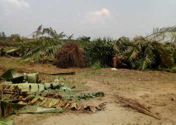 PTPN II Berikan Tali Asih Kepada Warga Terkait Okupasi di Lahan HGU 103 Bulu Cina