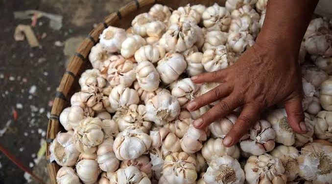 Harga Terus Merangkak, Pemerintah Diminta Permudah Izin Impor Bawang Putih