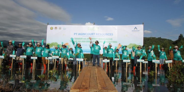 Konsisten Jaga Keseimbangan Alam, PTAR Gelar Aksi Tanam 60.000 Mangrove, Tebar 50.000 Bibit Kerang dan Kepiting