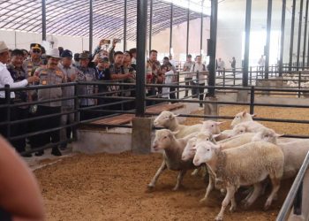 Pastikan Ketersediaan Hewan Kurban Idul Adha 1445 H, Wakapolri Bersama Mentan Kunjungi Peternakan Sapi di Majalengka