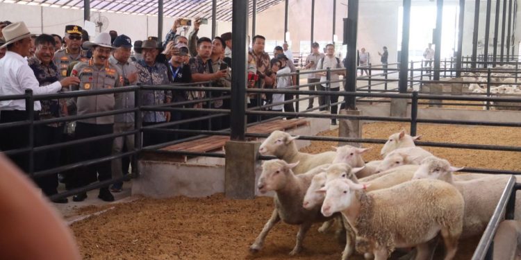 Pastikan Ketersediaan Hewan Kurban Idul Adha 1445 H, Wakapolri Bersama Mentan Kunjungi Peternakan Sapi di Majalengka