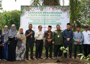Dukung Program Pemerintah Peduli Lingkungan, Kanwil Kemenag Sumut dan FOZ Gelar Aksi Tanam 1 Juta Pohon Matoa