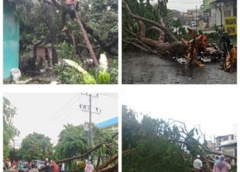 Kepling 20 Binjai: Warga dan Petugas Bahu Membahu Evakuasi Pohon Tumbang di Jalan Ikhlas