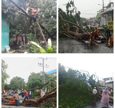 Kepling 20 Binjai: Warga dan Petugas Bahu Membahu Evakuasi Pohon Tumbang di Jalan Ikhlas
