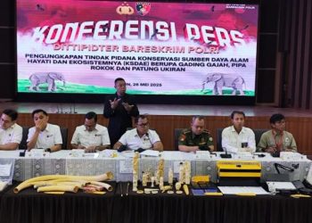 Empat Tersangka Sindikat Penjualan Gading Gajah Ilegal Ditangkap Polri