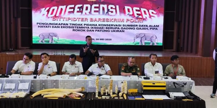 Empat Tersangka Sindikat Penjualan Gading Gajah Ilegal Ditangkap Polri