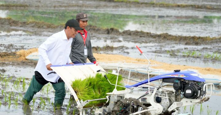Mentan Andi Amran Masuk Daftar 10 Menteri Berkinerja Terbaik Versi IndoStrategi