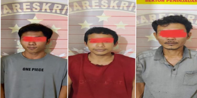 Warga Gagalkan Aksi Pencurian Sawit di Ogan Komering Ulu, Tiga Pelaku Diamankan Polisi